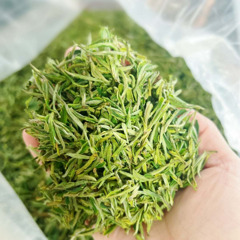 2023 Mingqian HuangShanMaoFeng Green Tea