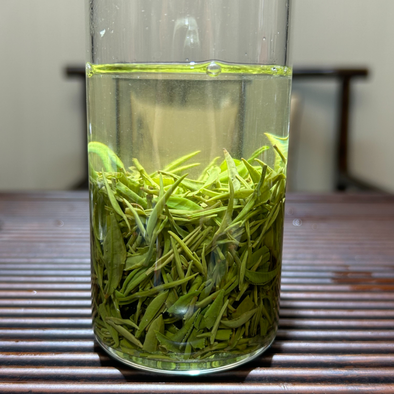 2023 Green Tea XinYang MaoJian