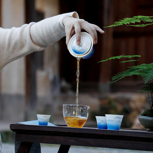 Portable porcleain Small Gongfu Teapot with Gaiwan